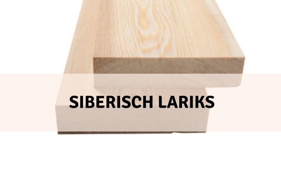 houtsoort siberisch lariks